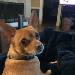 Meet your Posher, Sherry